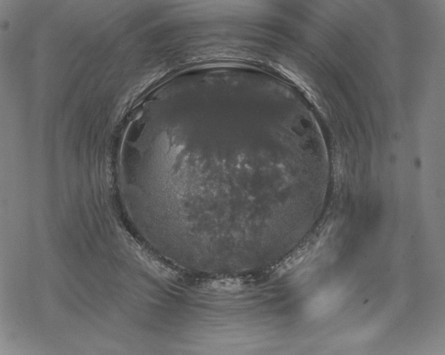 X0000068810353200605051151