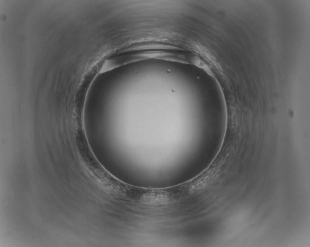 X0000068810354200605051151