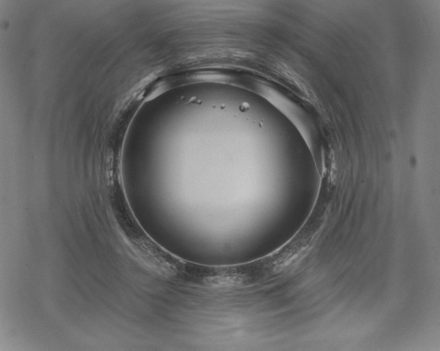 X0000068810356200605051151