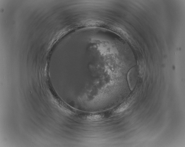 X0000068810357200605051151