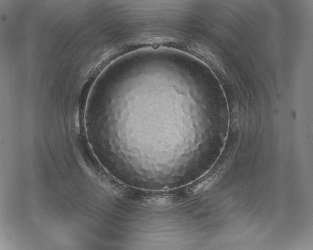 X0000068810358200605051151