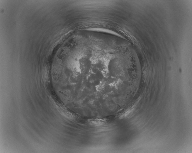 X0000068810359200605051151