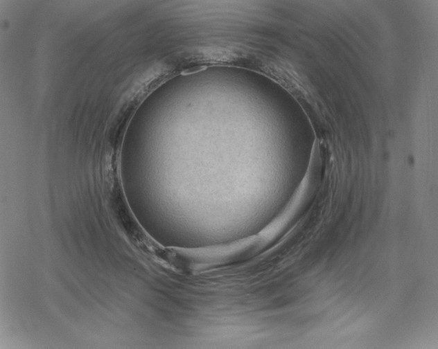 X0000068810360200605051151