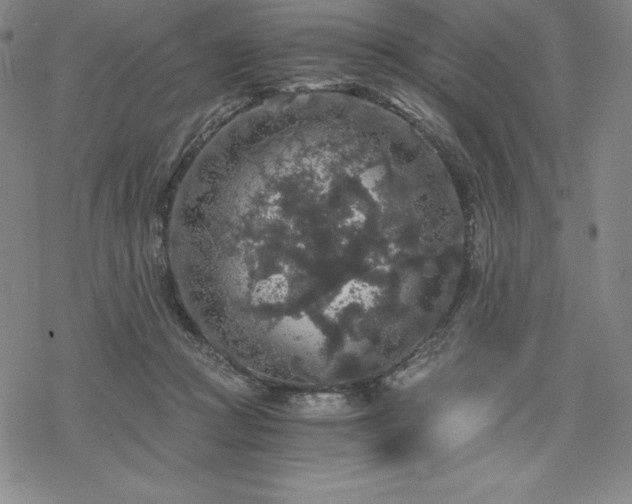 X0000068810361200605051151