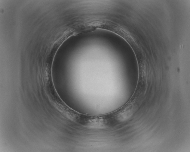 X0000068810362200605051151