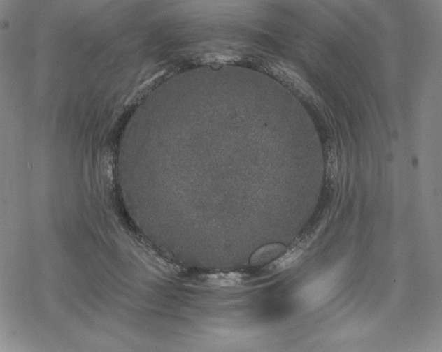 X0000068810363200605051151