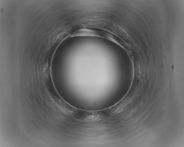 X0000068810364200605051151