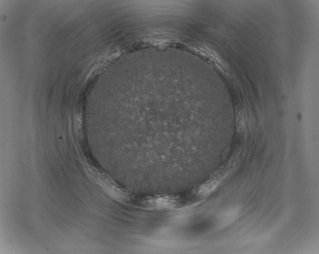 X0000068810365200605051151