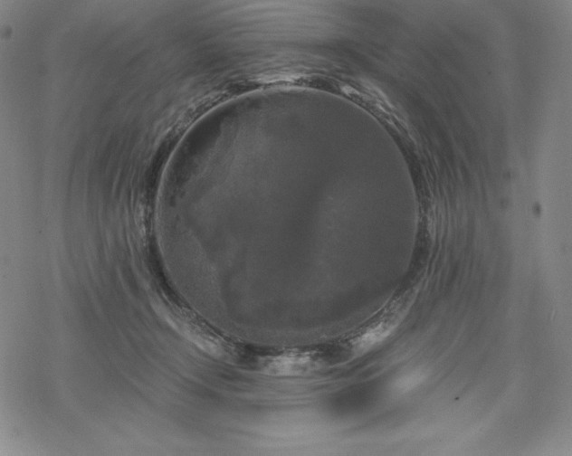 X0000068810366200605051151