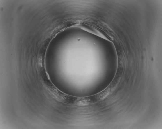 X0000068810368200605051151