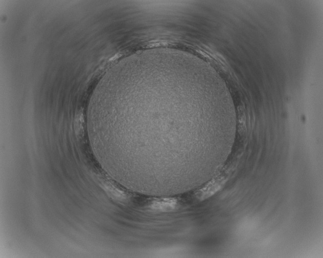 X0000068810369200605051151