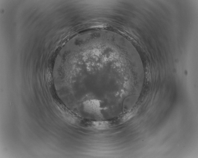 X0000068810371200605051151