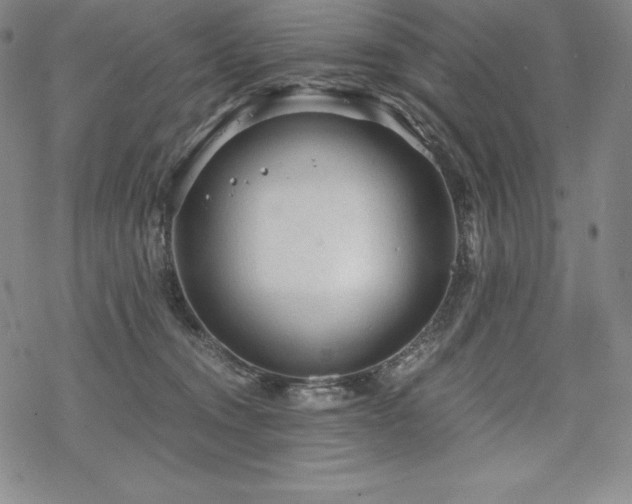 X0000068810372200605051151