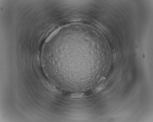 X0000068810373200605051151