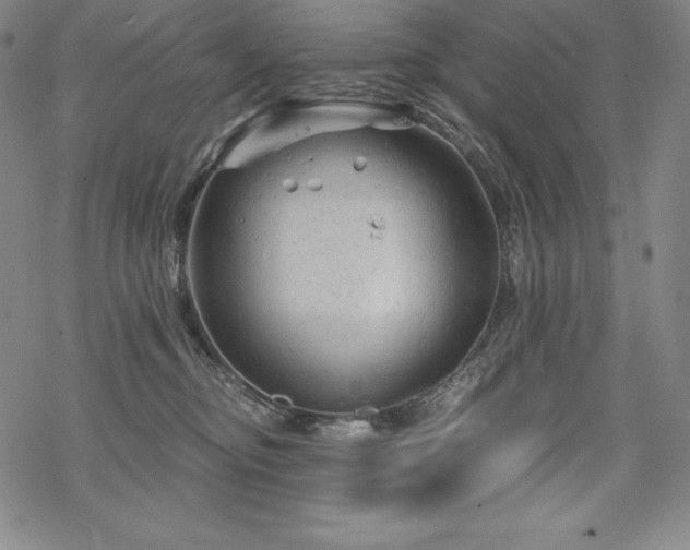 X0000068810374200605051151