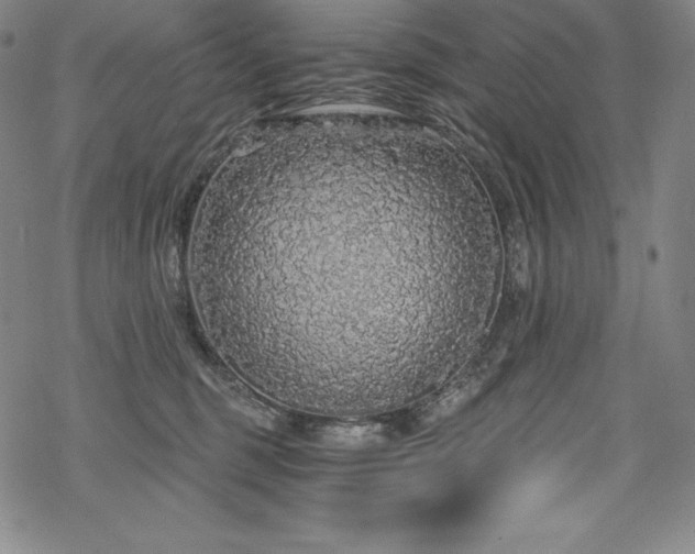 X0000068810375200605051151