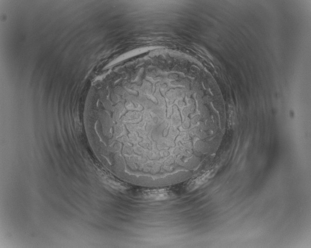 X0000068810377200605051151