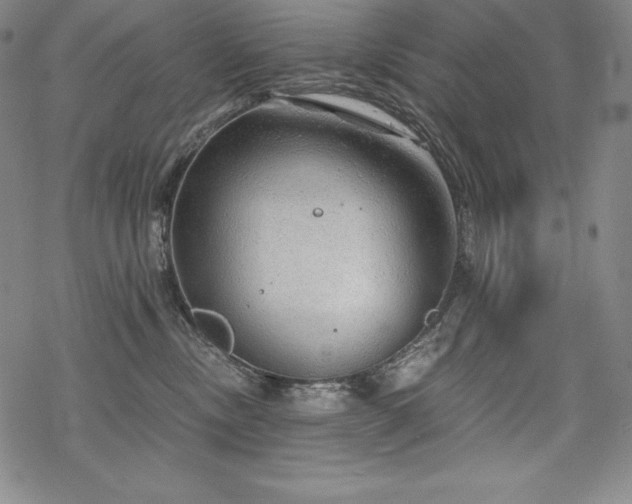 X0000068810378200605051151