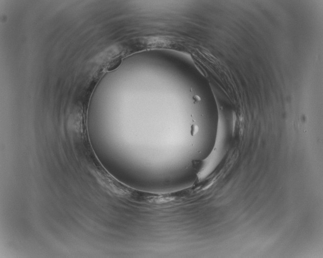 X0000068810379200605051151