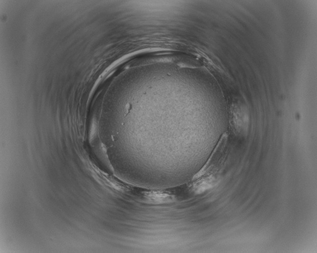 X0000068810380200605051151