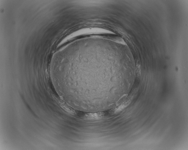 X0000068810381200605051151