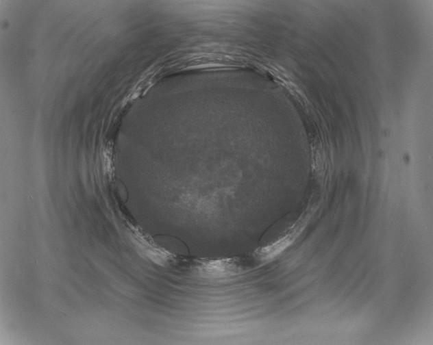 X0000068810382200605051151