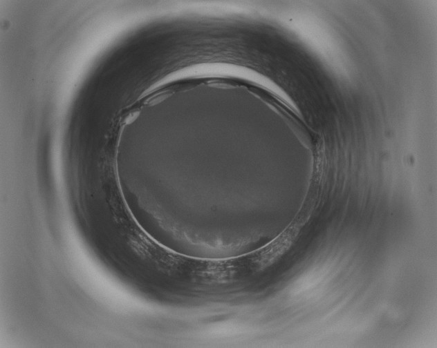 X0000068810383200605051151