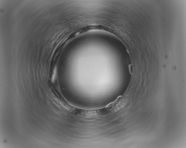 X0000068810384200605051151