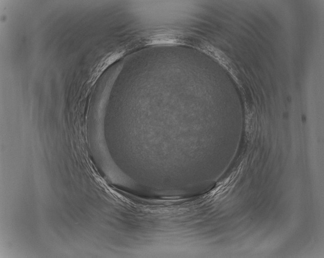 X0000068810385200605051150