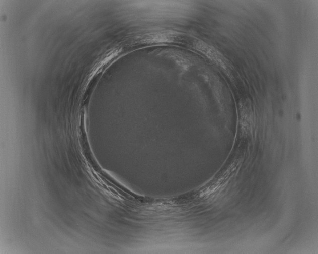 X0000068810386200605051150