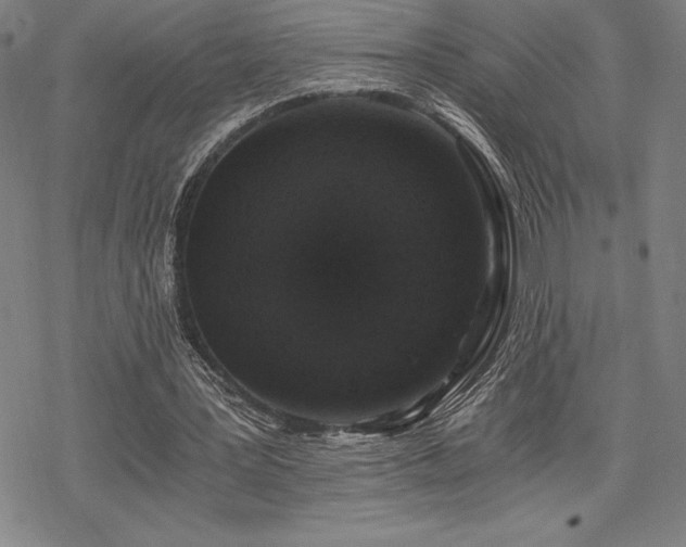 X0000068810387200605051150