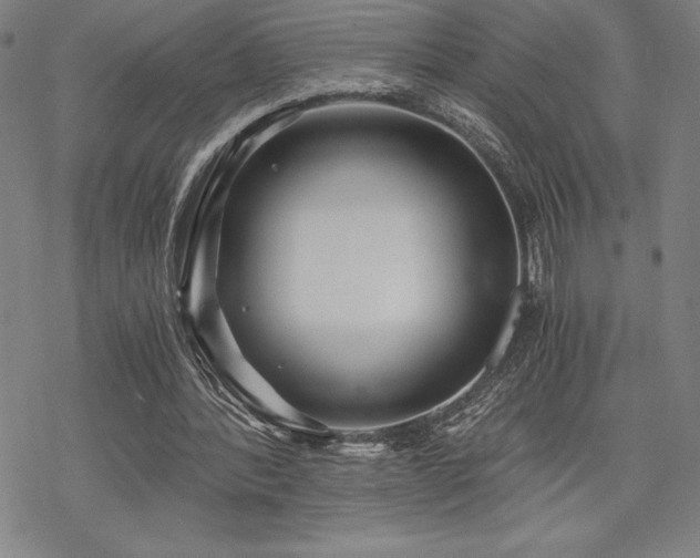 X0000068810388200605051150