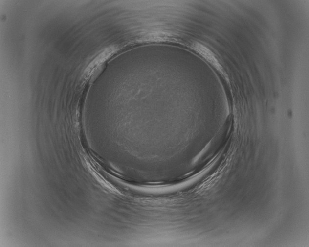 X0000068810389200605051150