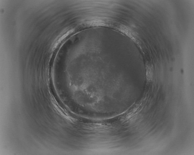 X0000068810390200605051150