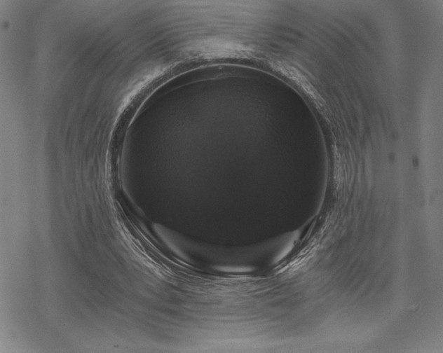 X0000068810391200605051150