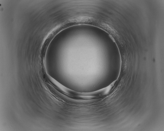 X0000068810392200605051150