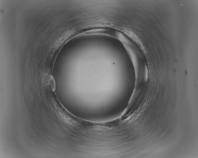 X0000068810393200605051150