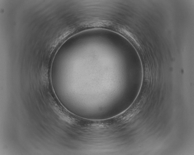 X0000068810394200605051150