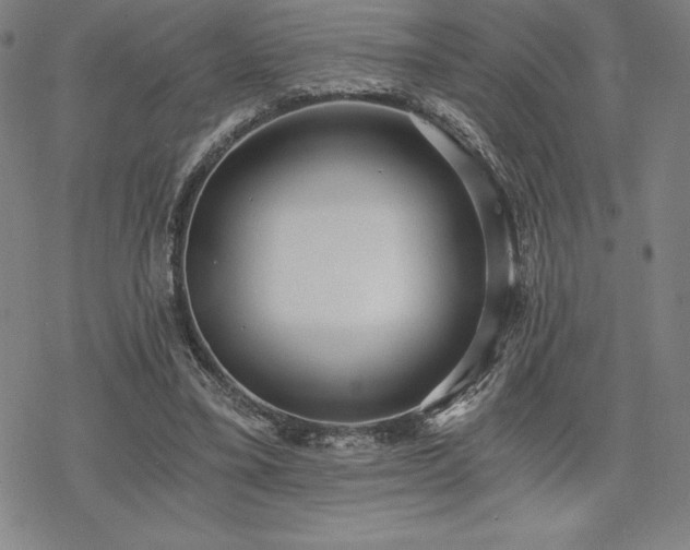 X0000068810395200605051150