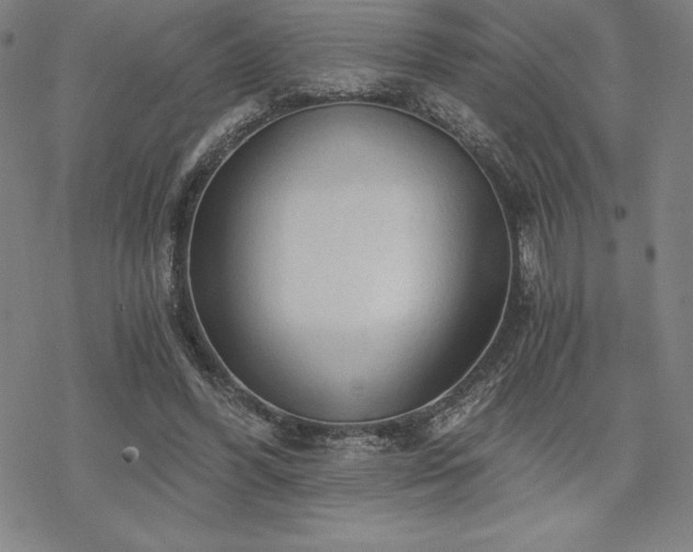 X0000068810396200605051150