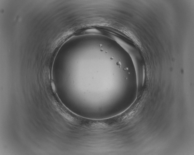 X0000068810397200605051150