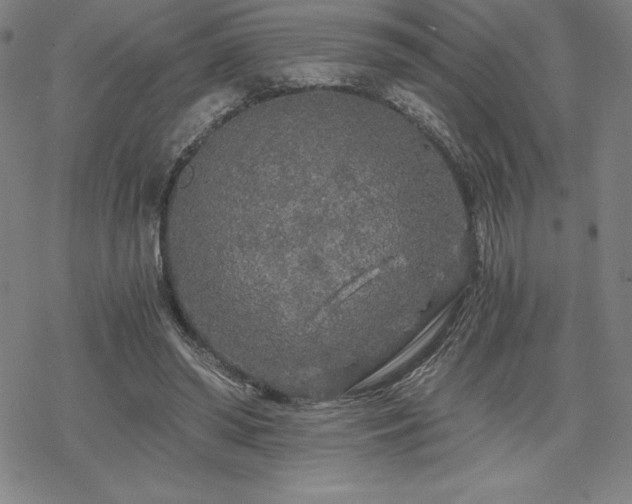 X0000068810398200605051150