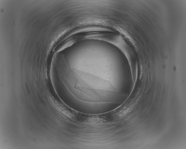 X0000068810399200605051150