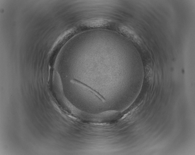 X0000068810400200605051150