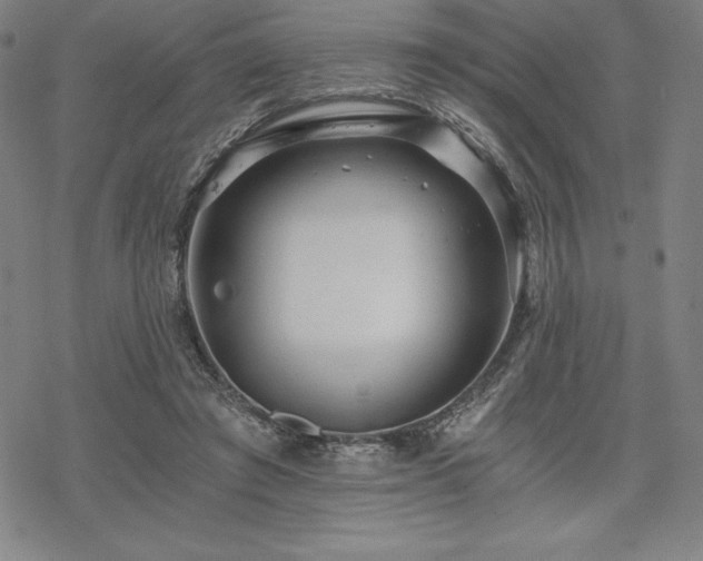 X0000068810401200605051150