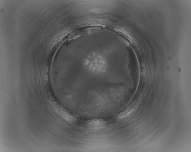 X0000068810402200605051150