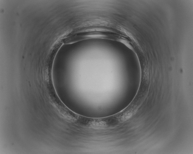 X0000068810403200605051150