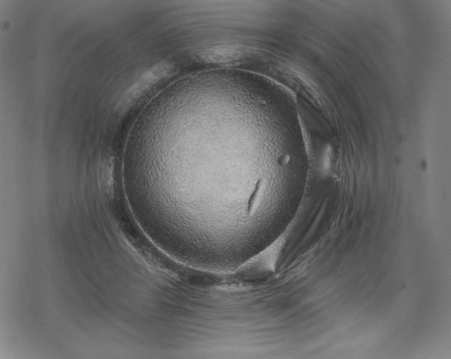 X0000068810404200605051150