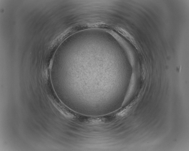 X0000068810405200605051150