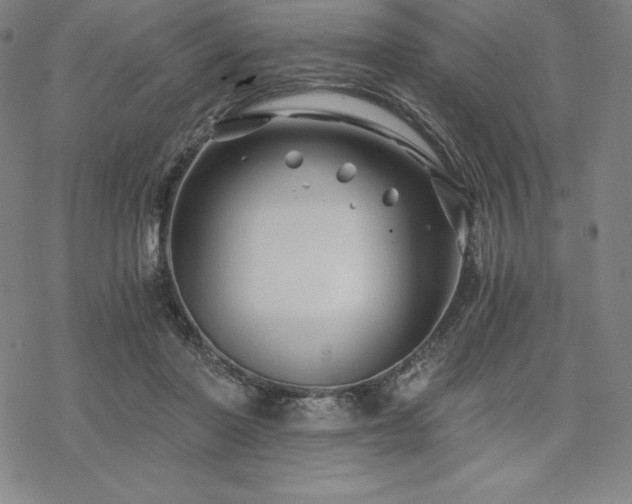 X0000068810406200605051150